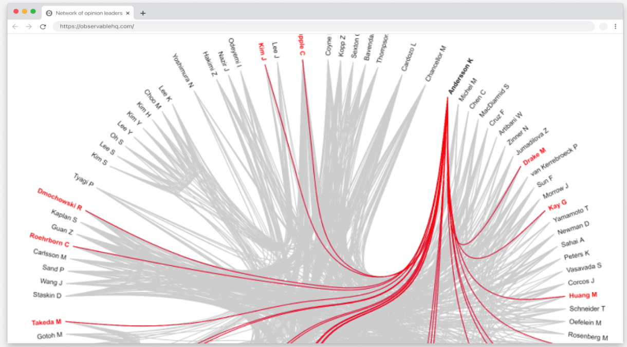 NetworkOpinionLeaders